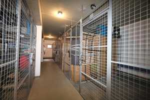 Property thumbnail 17