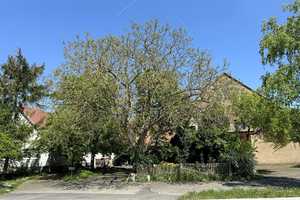 Landwirtschaftliche Hofstelle mit wunderschönem Grundstück – Ansbach (Kreis) – Vorschaubild 2