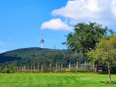 Traumhaftes Wohnen mit Weitblick in Höxter-Bödexen