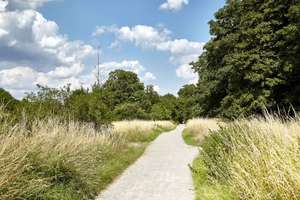 Property thumbnail 5