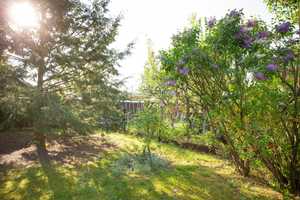 Kleines Haus im Grünen auf großem Gartengrundstück – Märkisch-Oderland (Kreis) – Vorschaubild 7
