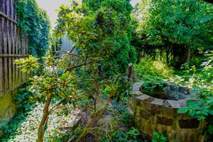 Property thumbnail 18