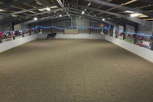 Reitanlage mit Halle und zwei Reitplätzen zu verkaufen – Die vollständige Adresse der Immobilie erhältst du vom Anbieter., 27612 Loxstedt – Vorschaubild 4