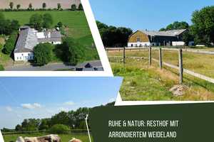 Ruhe & Natur: Resthof mit arrondiertem Weideland – Dithmarschen (Kreis) – Vorschaubild 1
