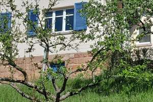 Einfamilienhaus – Die vollständige Adresse der Immobilie erhältst du vom Anbieter., 36391 Sinntal – Vorschaubild 2