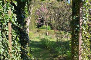 Bungalow in MG – zentrumsnah, dennoch abgeschieden vom Lärm der Stadt – umgeben von Natur pur – Klagenfurter 9-11, 41068 Am Wasserturm, Mönchengladbach – Vorschaubild 16
