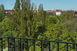 PROVISIONSFREIER VERKAUF, NEUE DACHGESCHOSSWOHNUNG MIT TERRASSEN UND LIFT IN P´BERG – Die vollständige Adresse der Immobilie erhältst du vom Anbieter., 10405 Prenzlauer Berg, Berlin – Vorschaubild 7
