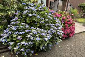 Property thumbnail 24