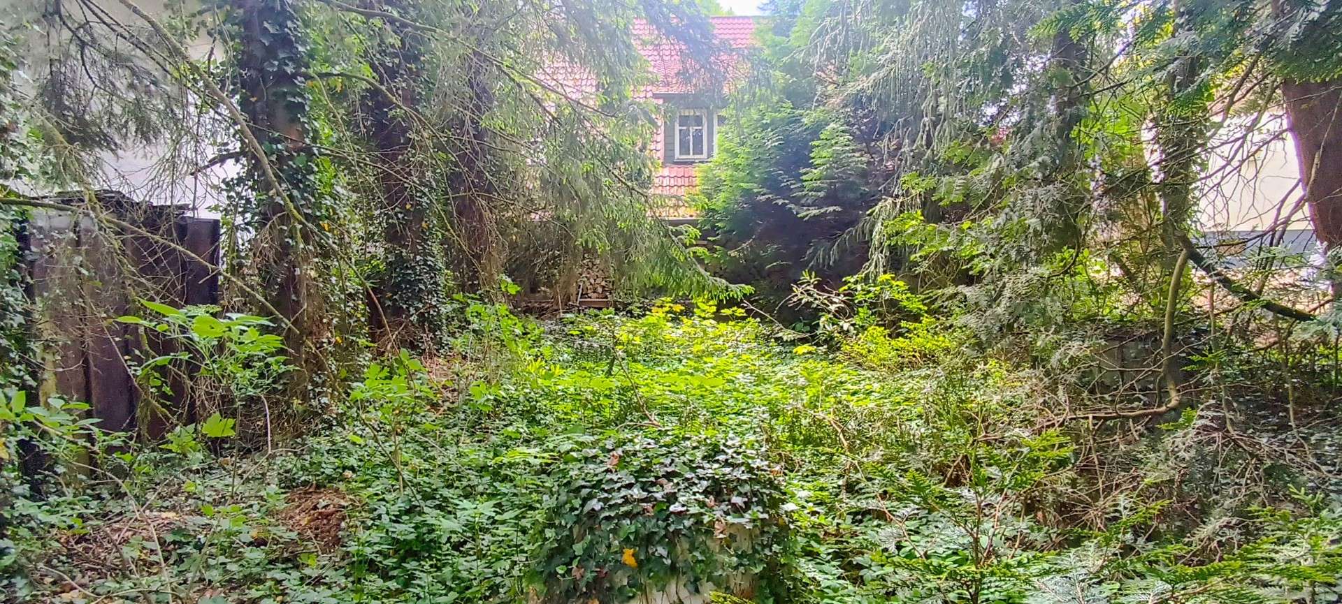 *RESERVIERT* Fachwerkhaus mit Charme und Potenzial – Handwerkertraum auf großem Grundstück in Seck, Westerwaldkreis – Bild 2