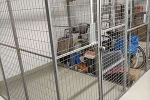 Exklusive helle 3-Zimmer-Wohnung mit Balkon – Münsterlandstraße 64, 10317 Rummelsburg, Berlin – Vorschaubild 19