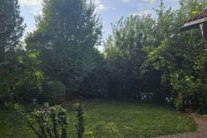 Gepflegtes Fachwerkhaus mit 5 Zimmern in Maroldsweisach OT Eckartshausen – Am Kirchberg 2, 96126 Maroldsweisach – Vorschaubild 10