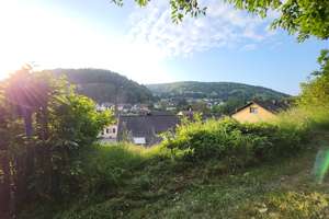 Natur pur: Wohngebäude + Bauplatz + 5ha Wald in Beckingen – An Millessen 30, 66701 Beckingen – Vorschaubild 4