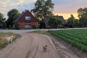 Fachwerkhaushälfte mit Fachkwerknebengebäude & Carport – Lüchow-Dannenberg (Kreis) – Vorschaubild 1