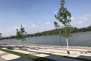 Maritimes Flair,  stilvolle 3- Zimmer Wohnung , Blick auf den Rhein und den Mainzer Zollhafen – Taunusstrasse 73, 55118 Neustadt, Mainz – Vorschaubild 4