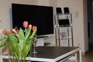 Möblierte Souterrain 2-Zimmer-Wohnung in Mainz-Lerchenberg – Die vollständige Adresse der Immobilie erhältst du vom Anbieter., 55127 Lerchenberg, Mainz – Vorschaubild 2