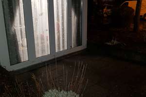1,5 ZW vollmöbilierte hochwertige Penthouse + Wintergarten ,Terasse, EG +Strom +Wifi Stuttgart – Die vollständige Adresse der Immobilie erhältst du vom Anbieter., 70327 Lindenschulviertel, Stuttgart – Vorschaubild 43