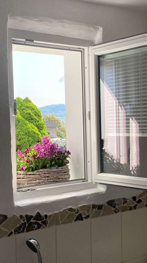 Immobilie in Henau - Mini—Haus—Sparfuchs—total unabhängig —Pellet - Bild 0