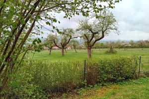 Günstige 2-Raum-Finnhütte in Bilzingsleben OT Düppel Kindelbrück – Ferienhaussiedlung 7, 99638 Sömmerda (Kreis) – Vorschaubild 17
