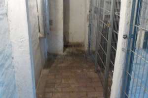 Property thumbnail 8