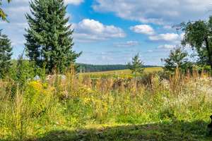 Ruhig und idyllisch am Dorfteich gelegenes großes Grundstück mit Haus zum Träume verwirklichen! – Die vollständige Adresse der Immobilie erhältst du vom Anbieter., 15377 Märkische Höhe – Vorschaubild 7