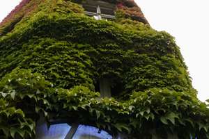 Property thumbnail 27