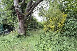 JA, zum ruhig gelegenen Ein-/Zweifamilienhaus mit Garagen  und  schönem Garten - Nähe Ittertal! – Die vollständige Adresse der Immobilie erhältst du vom Anbieter., 42719 Wald, Solingen – Vorschaubild 5