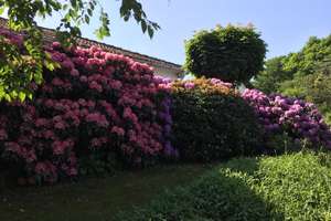 Tolle Gelegenheit - Einziehen & wohlfühlen! Großes Einfamilienhaus mit großem Garten und Kamin – Die vollständige Adresse der Immobilie erhältst du vom Anbieter., 65321 Heidenrod – Vorschaubild 3