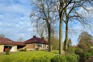 Stilvoller Bungalow in malerischer Lage von Lüdinghausen-Seppenrade! – Coesfeld (Kreis) – Vorschaubild 3