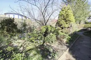 Familienfreundliches, bezugsfreies Einfamilienhaus mit großem Garten und beheiztem Wintergarten – Potsdam – Vorschaubild 22