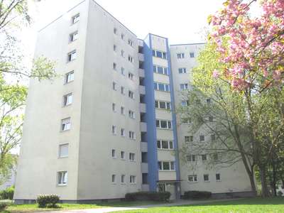 +++GOLDBERG+++S- BAHN+++HELL & SONNIG+++LAMINAT & FLIESEN+++BALKON+++HMS+++ETC.+++AB 12.2025+++