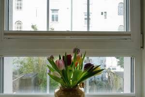 Property thumbnail 25