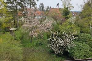 ...in einer der begehrtesten Wohnlagen...DHH mit großem Grundstück in Erlangen – Die vollständige Adresse der Immobilie erhältst du vom Anbieter., 91054 Loewenich, Erlangen – Vorschaubild 6