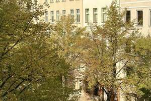 Property thumbnail 33