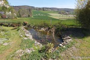 Mehrgenerationshaus mit 3 Wohneinheiten, Garten, Park, einmaliger Taunusblick auch ideal für Pension – Die vollständige Adresse der Immobilie erhältst du vom Anbieter., 65529 Waldems – Vorschaubild 43