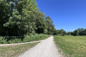 Einzigartiges Südgrundstück mit EFH in ruhiger Villenlage im Grünen in München-Bogenhausen – Die vollständige Adresse der Immobilie erhältst du vom Anbieter., 81677 Englschalking, München – Vorschaubild 11