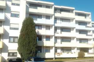 Großzügige 2-Zimmer-Wohnung mit Balkon und durchdachtem Grundriss in Bielefeld Heepen 