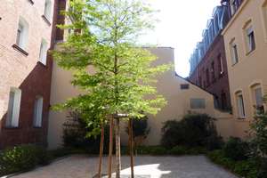 SINGLE-Wohnung nahe Nordklinikum in Nürnberg St. Johannis – Die vollständige Adresse der Immobilie erhältst du vom Anbieter., 90419 Bielingplatz, Nürnberg – Vorschaubild 9