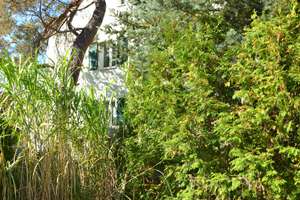 ***Mehr als vier Wände: IHR neues ZUHAUSE mit Ausbaureserve im Dach, Garten & Raum zum Gestalten..* – Kastanienallee 5, 13158 Rosenthal, Berlin – Vorschaubild 14