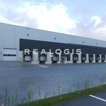 Ca. 8.000 qm Lager- / Logistikflächen | Rampe + ebenerdig | ca. 10,00 m UKB