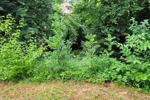 Bezugsfrei! Familienhaus mit 2 Wohneinheiten + großes, idyll. Grundstück – ruhige Lage nahe München – Die vollständige Adresse der Immobilie erhältst du vom Anbieter., 85402 Kranzberg – Vorschaubild 9