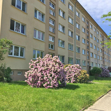 Wohnung Kamenz Mieten