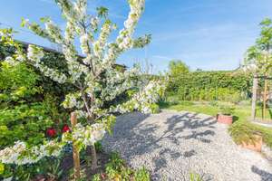Vintage Villachen mit riesiger PKW-Garage, Autogrube, großer Südterrasse und großem Garten – Die vollständige Adresse der Immobilie erhältst du vom Anbieter., 64342 Seeheim-Jugenheim – Vorschaubild 8