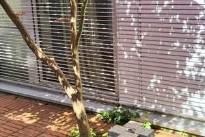 Wohnung (Haushälfte) zu vermieten – Die vollständige Adresse der Immobilie erhältst du vom Anbieter., 76227 Durlach, Karlsruhe – Vorschaubild 21