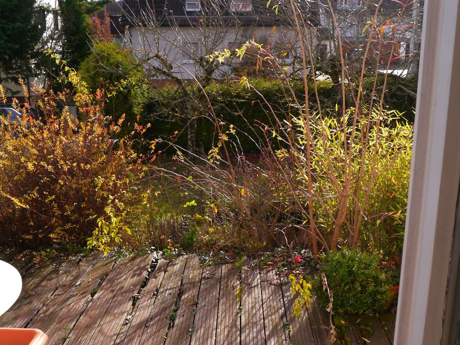 Blick von der Terrasse