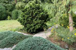 Property thumbnail 13