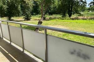 Gemütliche Singlewohnung mit Balkon und Blick ins Grüne in Halle – Richard-Paulick-Straße 21, 6124 Südliche Neustadt, Halle (Saale) – Vorschaubild 4