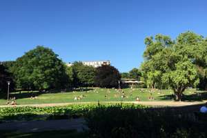 Property thumbnail 17