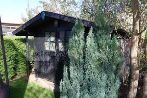 STILVOLLES EINFAMILIENHAUS
MIT EINLIEGERWOHNUNG UND GARTEN – Die vollständige Adresse der Immobilie erhältst du vom Anbieter., 72124 Pliezhausen – Vorschaubild 28