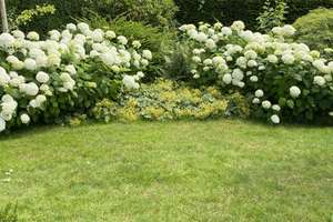 Die Lage, die Lage, die Lage ... Bezugsfertige Gartenresidenz in Toplage  – Up de Worth 11, 22391 Wellingsbüttel, Hamburg – Vorschaubild 5