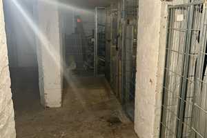3-Zimmer Wohnung in ruhiger Lage und zentrumsnah! – Fliederhof 8, 4347 Leipzig – Vorschaubild 18